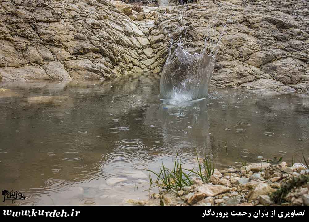 تصویر وجود ندارد